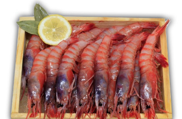 Gamba roja del mediterráneo a la plancha