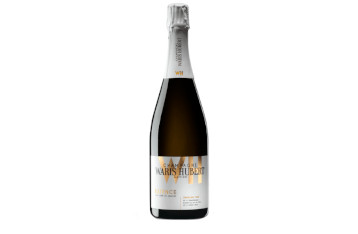 Champagne estence premier cru waris